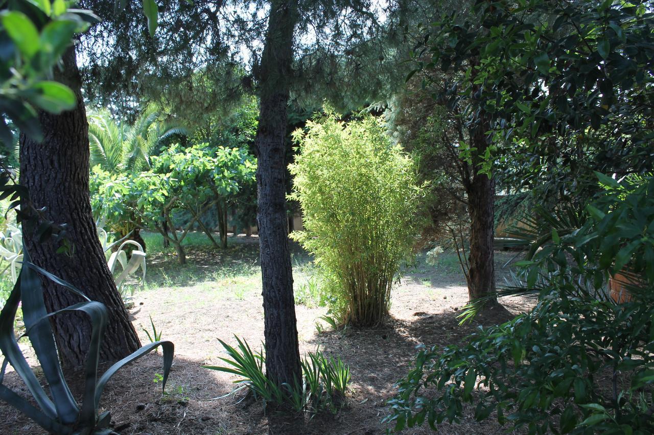 Sea Garden Rooms Termoli Ngoại thất bức ảnh